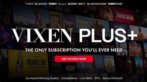 vixen po|Vixen Media Group